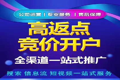 百度推广效果案例解析