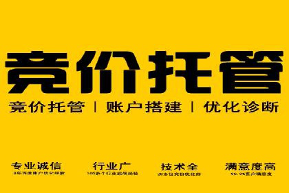 托管SEM竞价服务：打造高效广告投放的利器